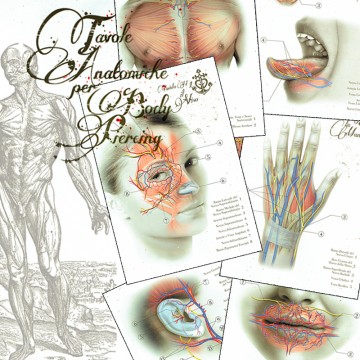 Tables Anatomiques pour le bodypiercing Tables Anatomiques pour le bodypiercing-4532