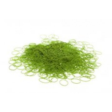 Eikon &eacute;lastiques Green-1290